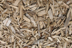 biomass boilers Liss Forest